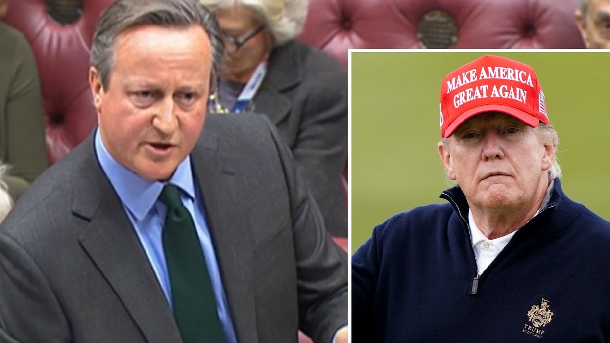 David Cameron /Trump