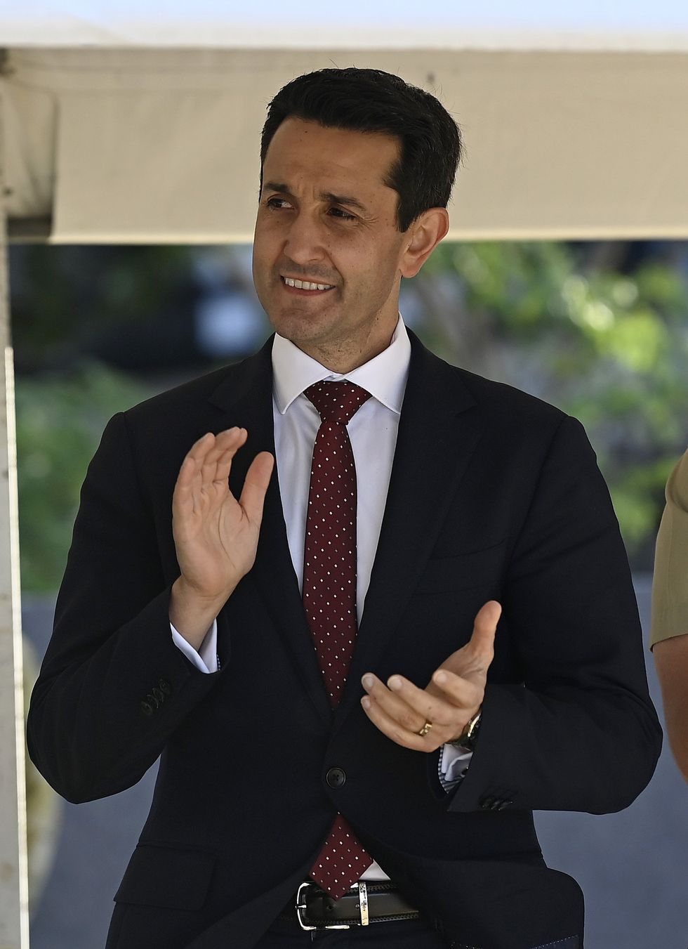 David Crisafulli
