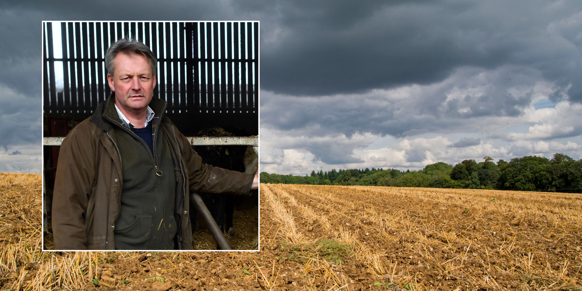 NextImg:'Driest spring on record!' Farmers raise 'serious' concerns as Britons warned of 'challenging' consequences