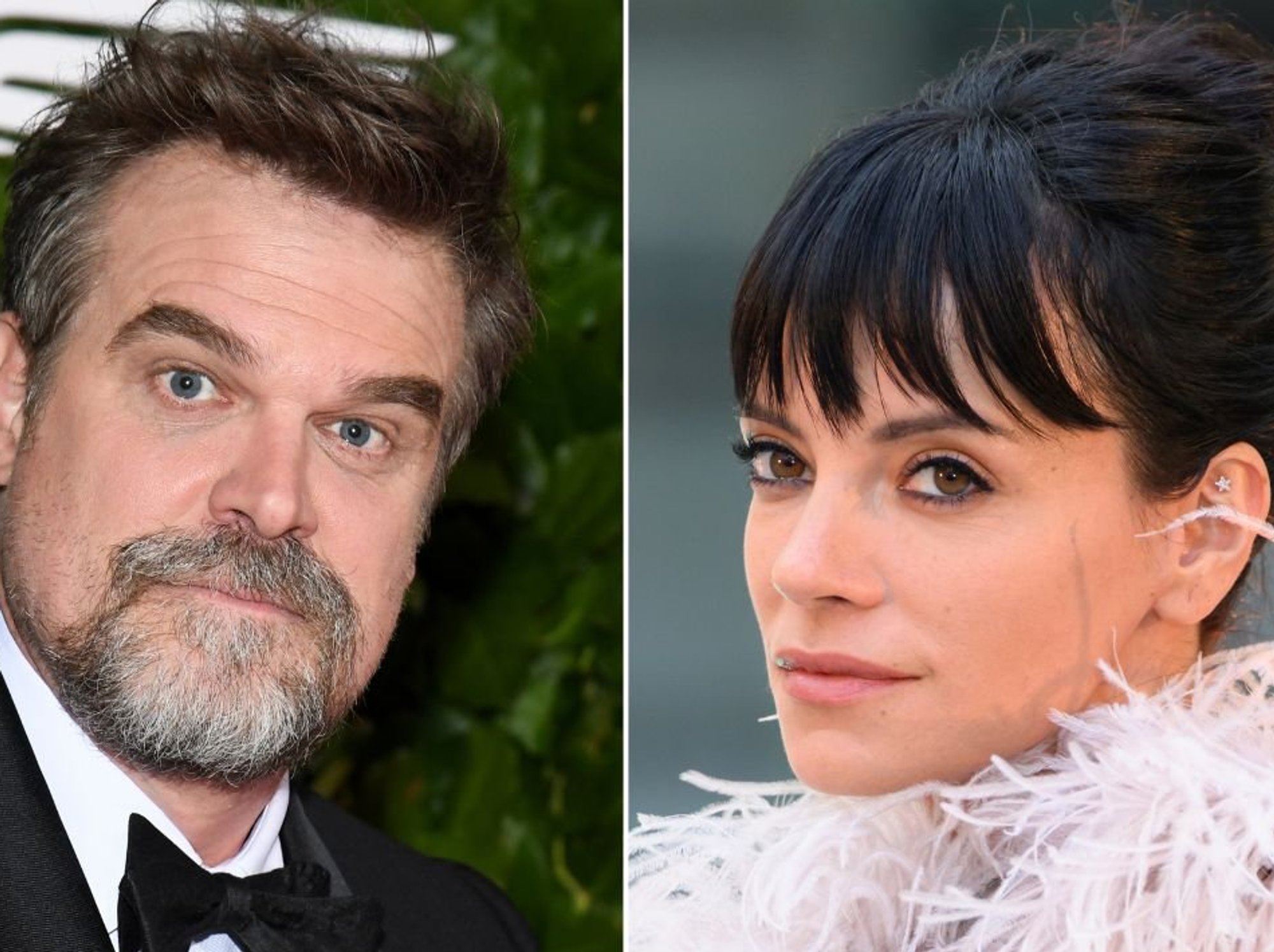 David Harbour and Lily Allen