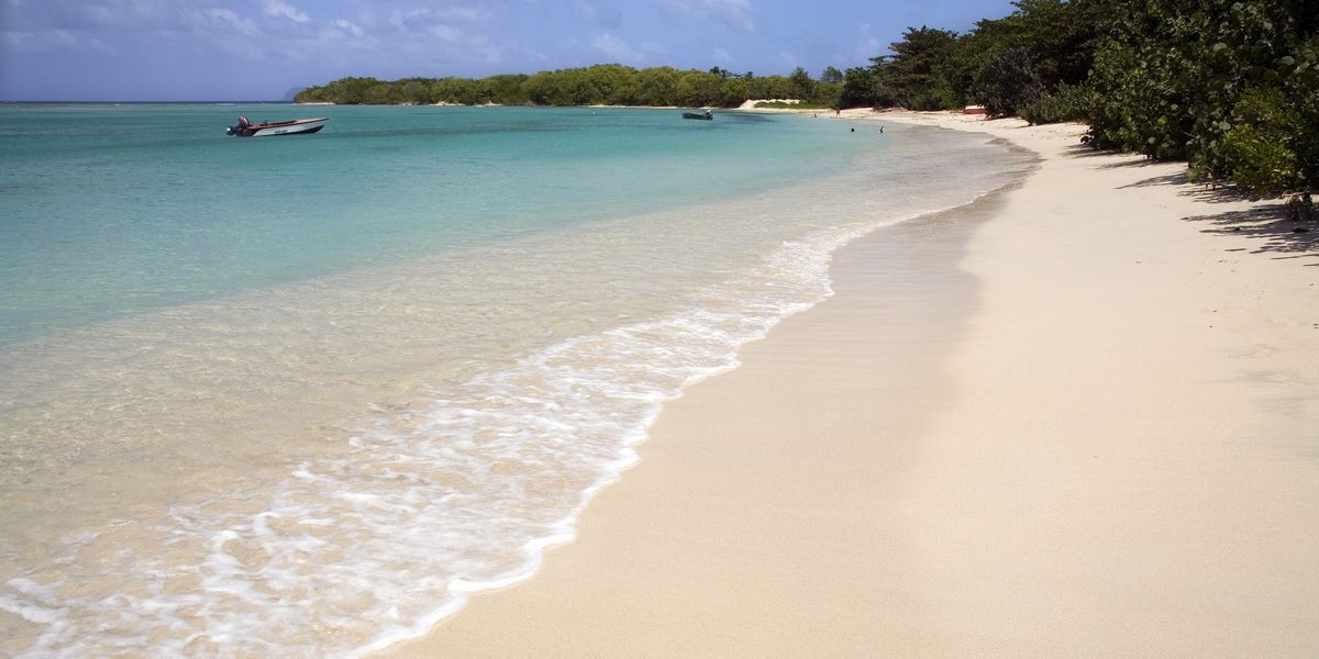 NextImg:British couple on holiday in the Caribbean die within minutes of each other while walking along beach in tragic scenes