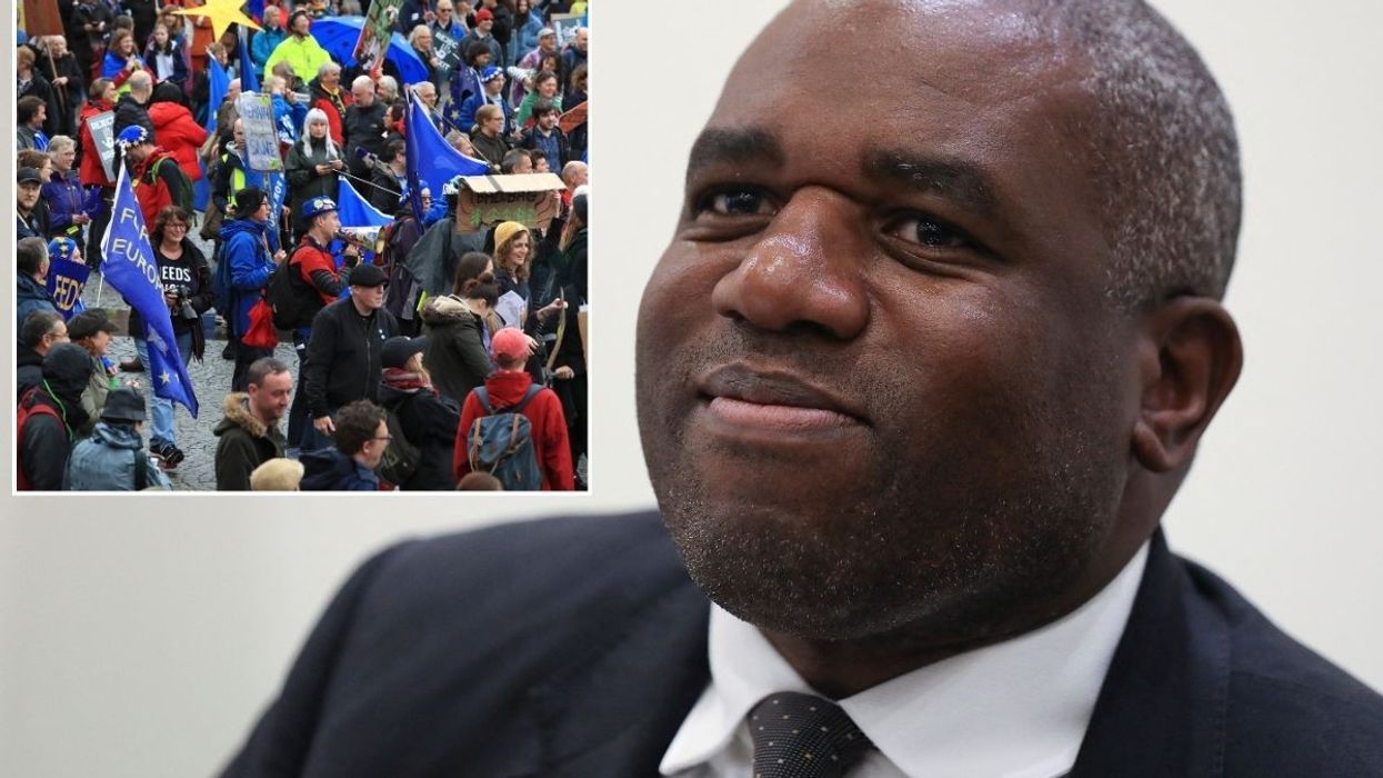 David Lammy with an inset of pro-EU protesters