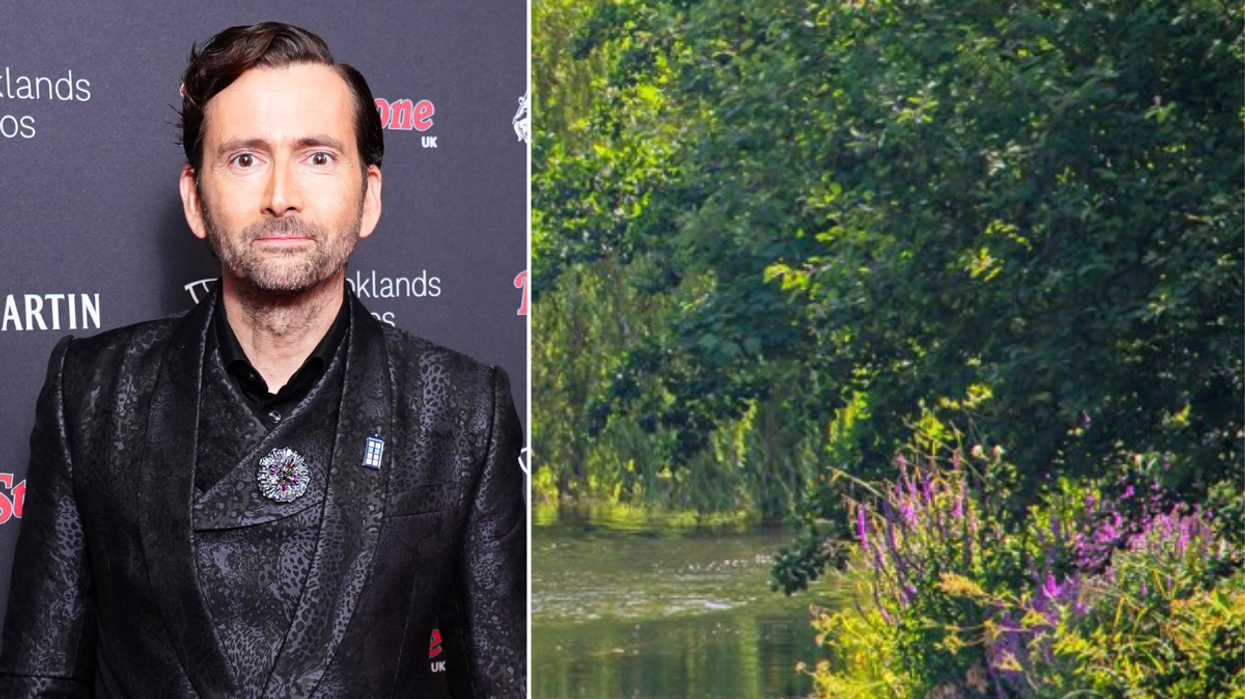 David Tennant Chiswick