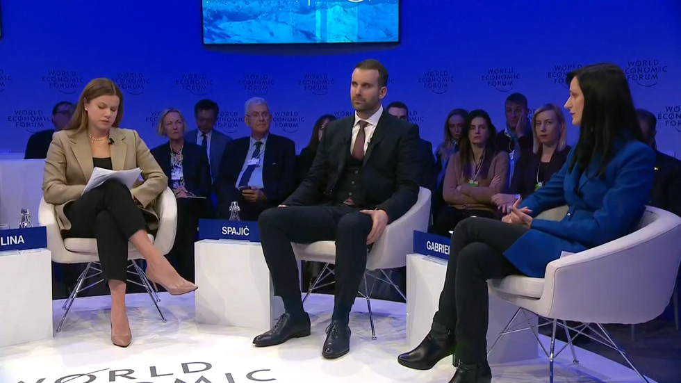 Davos panel