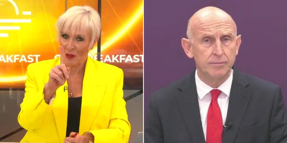 NextImg:'You can't even defend our borders!' John Healey grilled by Dawn Neesom in scathing takedown over migrant crisis