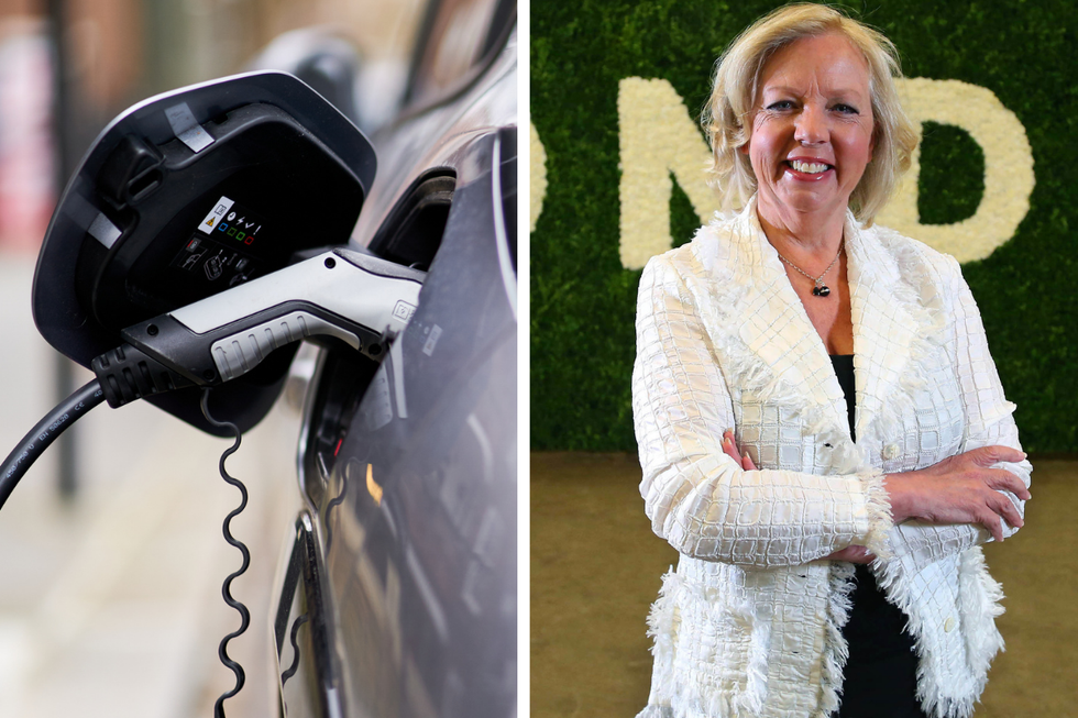 Deborah Meaden and electric charger