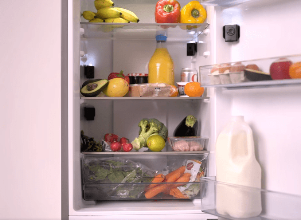 Sayvr in a fridge \u2014 example