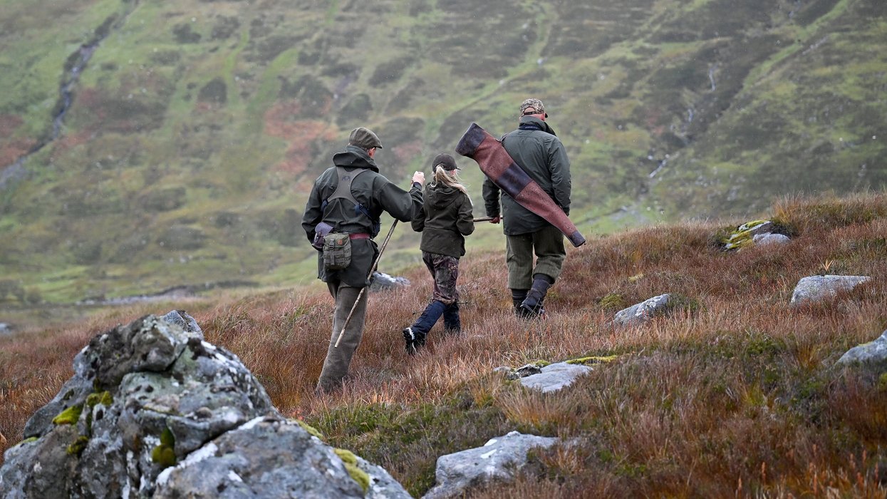Landowners handed new powers to shoot deer as numbers surge - with venison to be served up in schools
