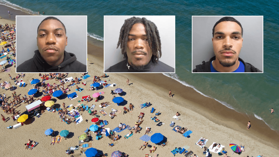 Delaware beach suspects