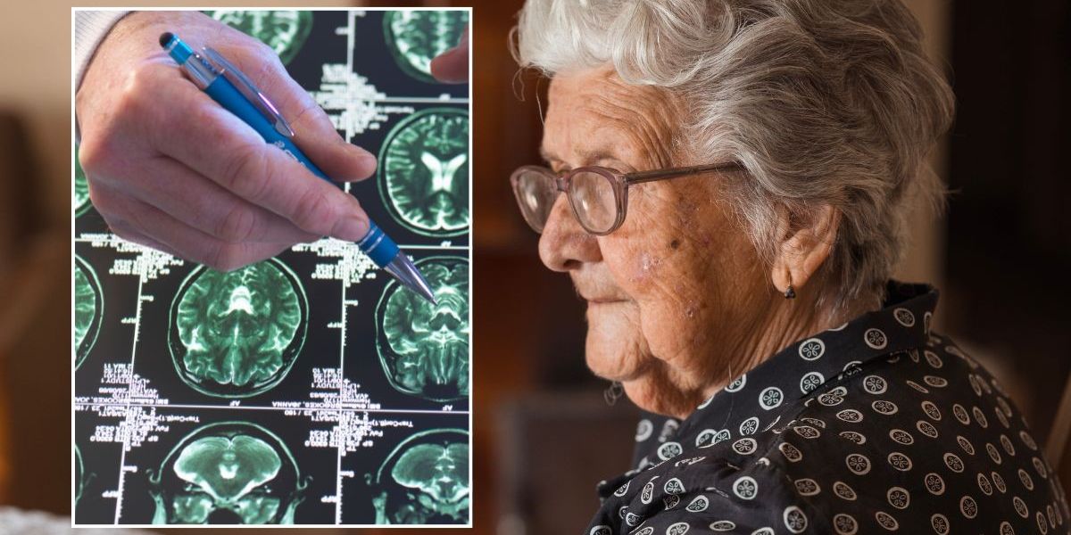 NextImg:UK launches groundbreaking trial of £100 blood test to transform Alzheimer's diagnosis