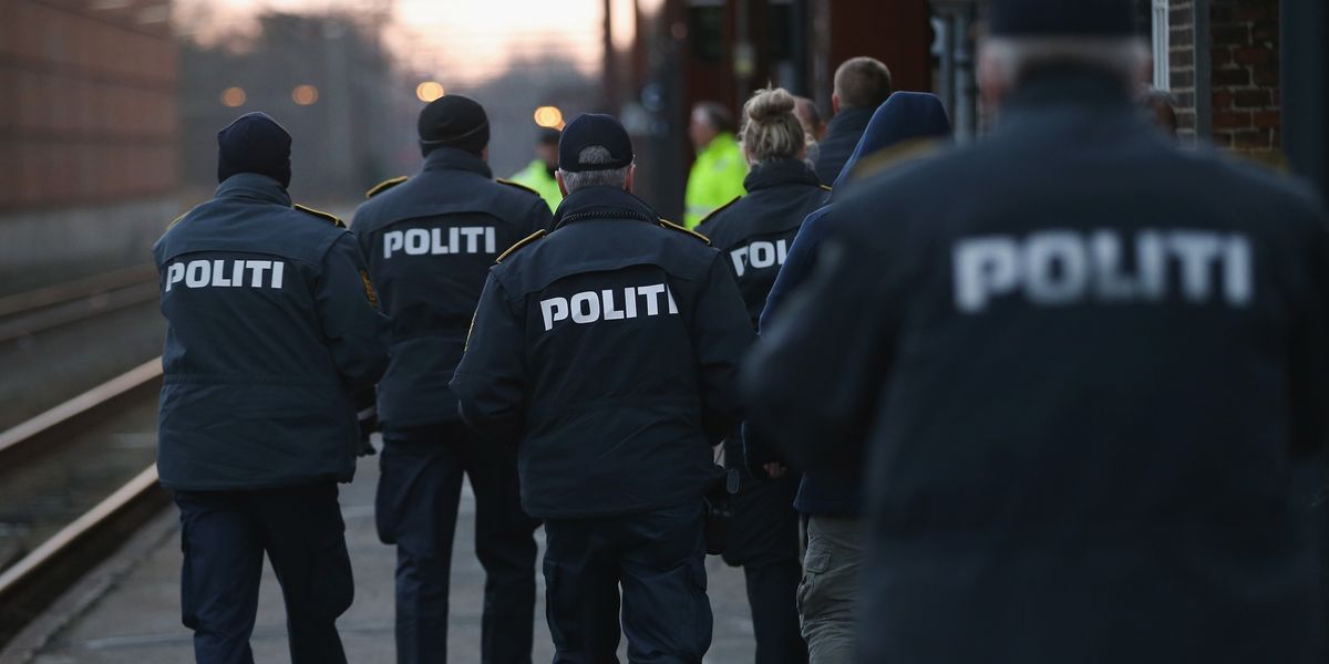NextImg:How Denmark is implementing stricter border checks as Sweden's criminal immigrant gangs spread activities