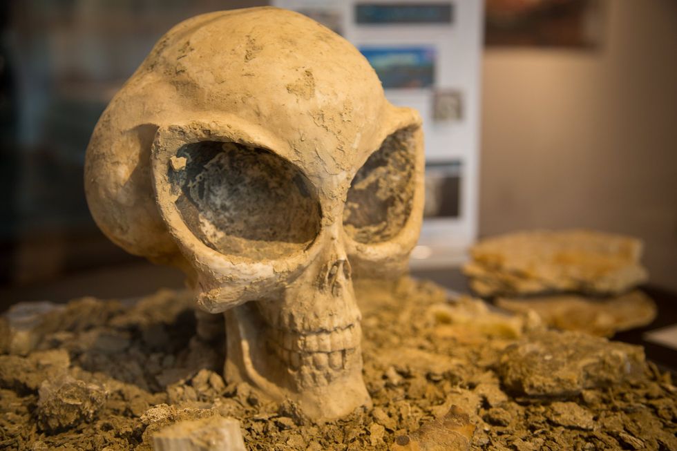 Denver International Airport 'alien skull'