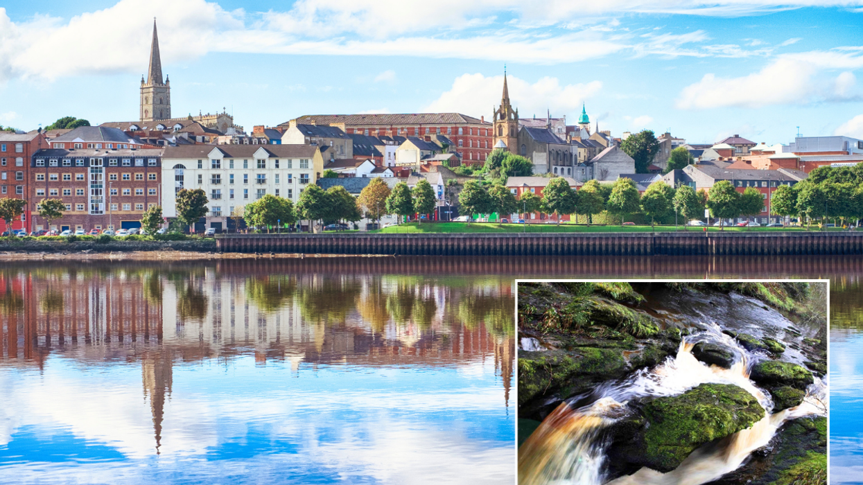 Derry water / Derry forest