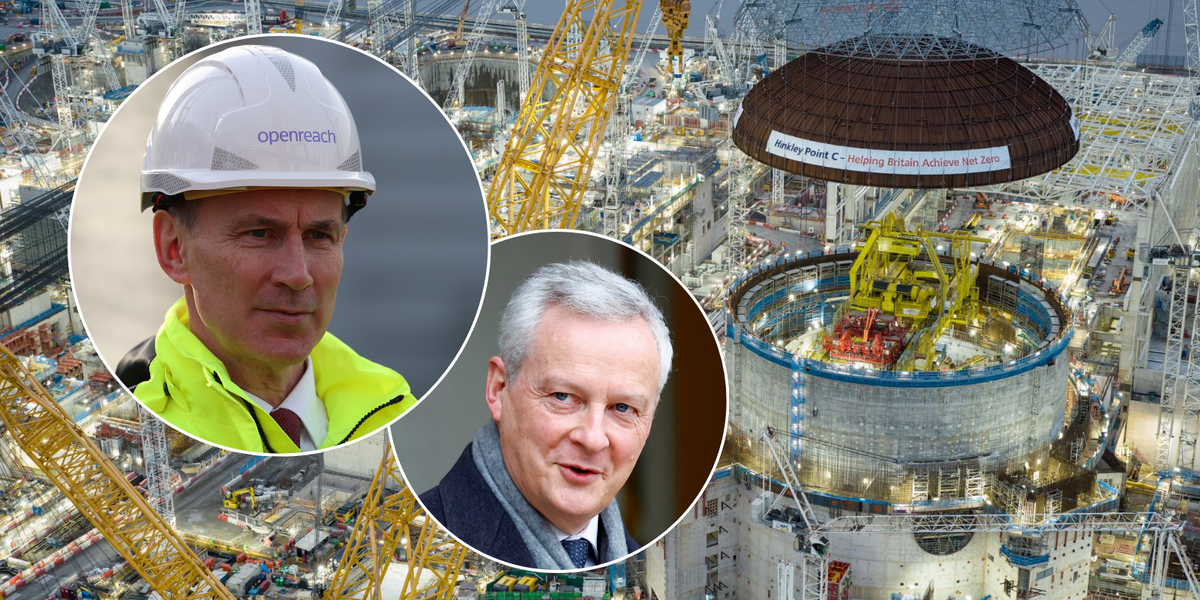 NextImg:British taxpayers told to cover costs of French nuclear power station