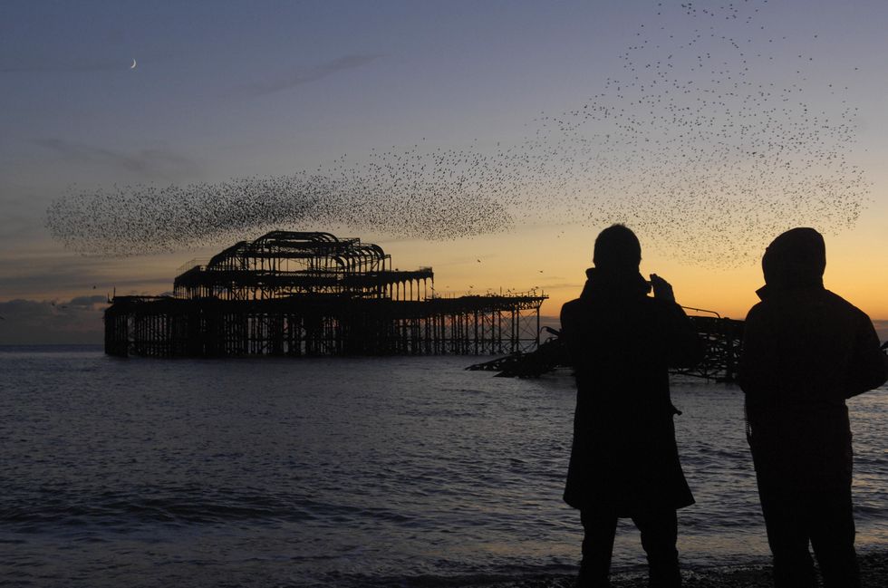 Detectives are investigating six reports of women being injected while on nights out in Brighton