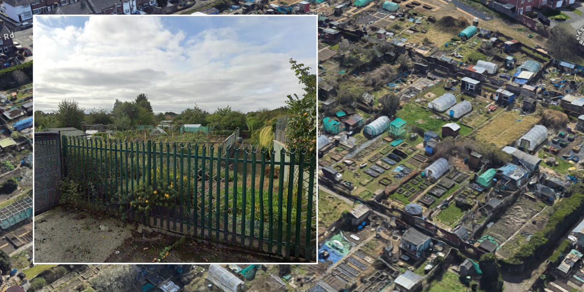 NextImg:Local 'banned' from allotment he spent 30 years tending for after his mum 'swore in car park'