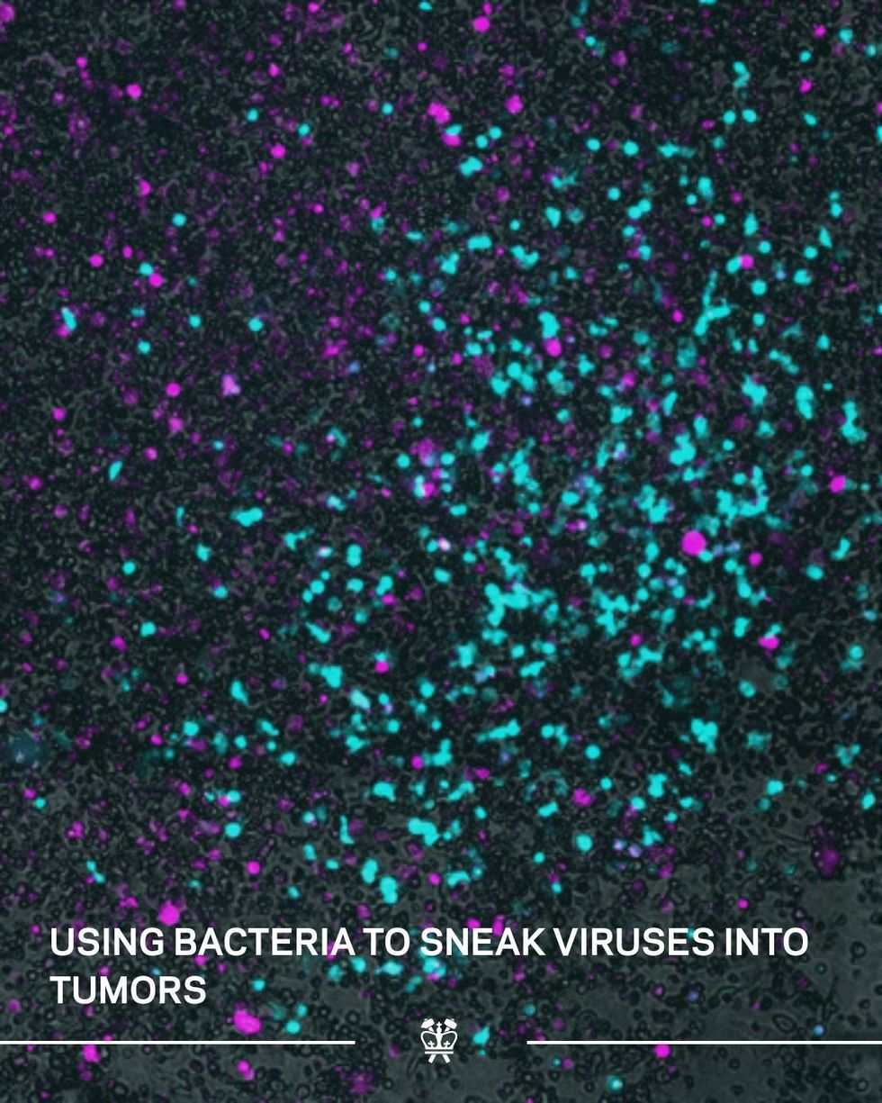 Diagram showing viruses and bacteria by the researchers at Columbia