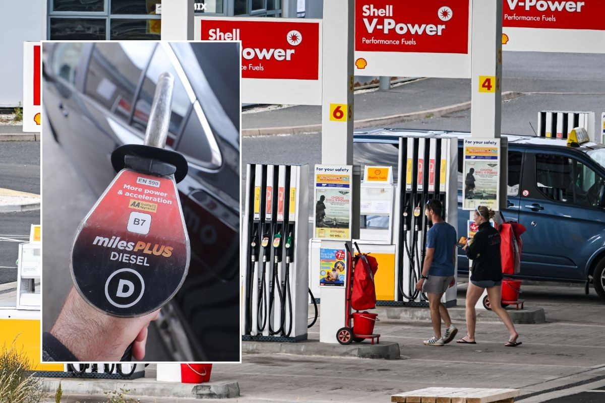 Diesel pump and a petrol station