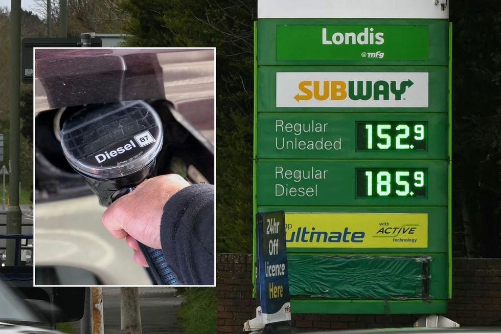 Diesel pump and fuel prices