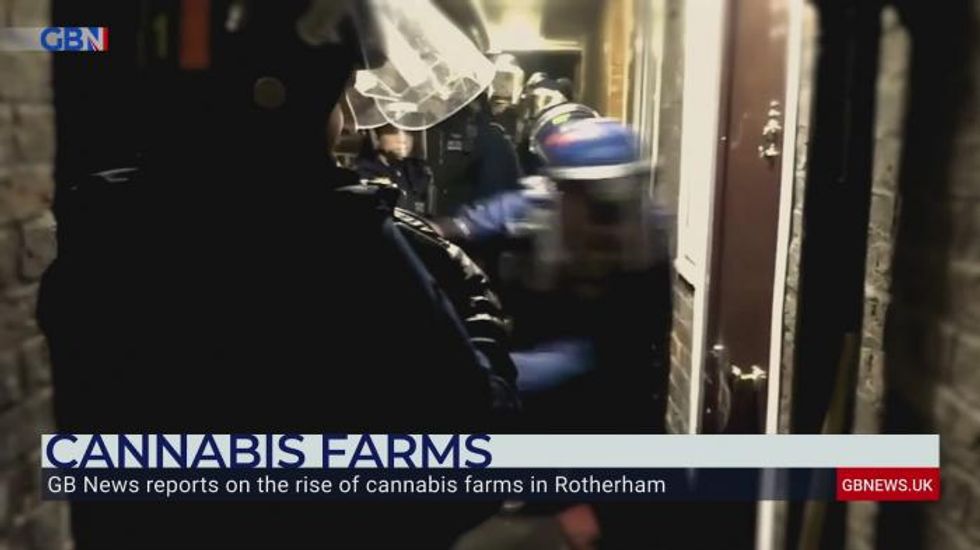 Whole communities blighted by surge in cannabis farms
