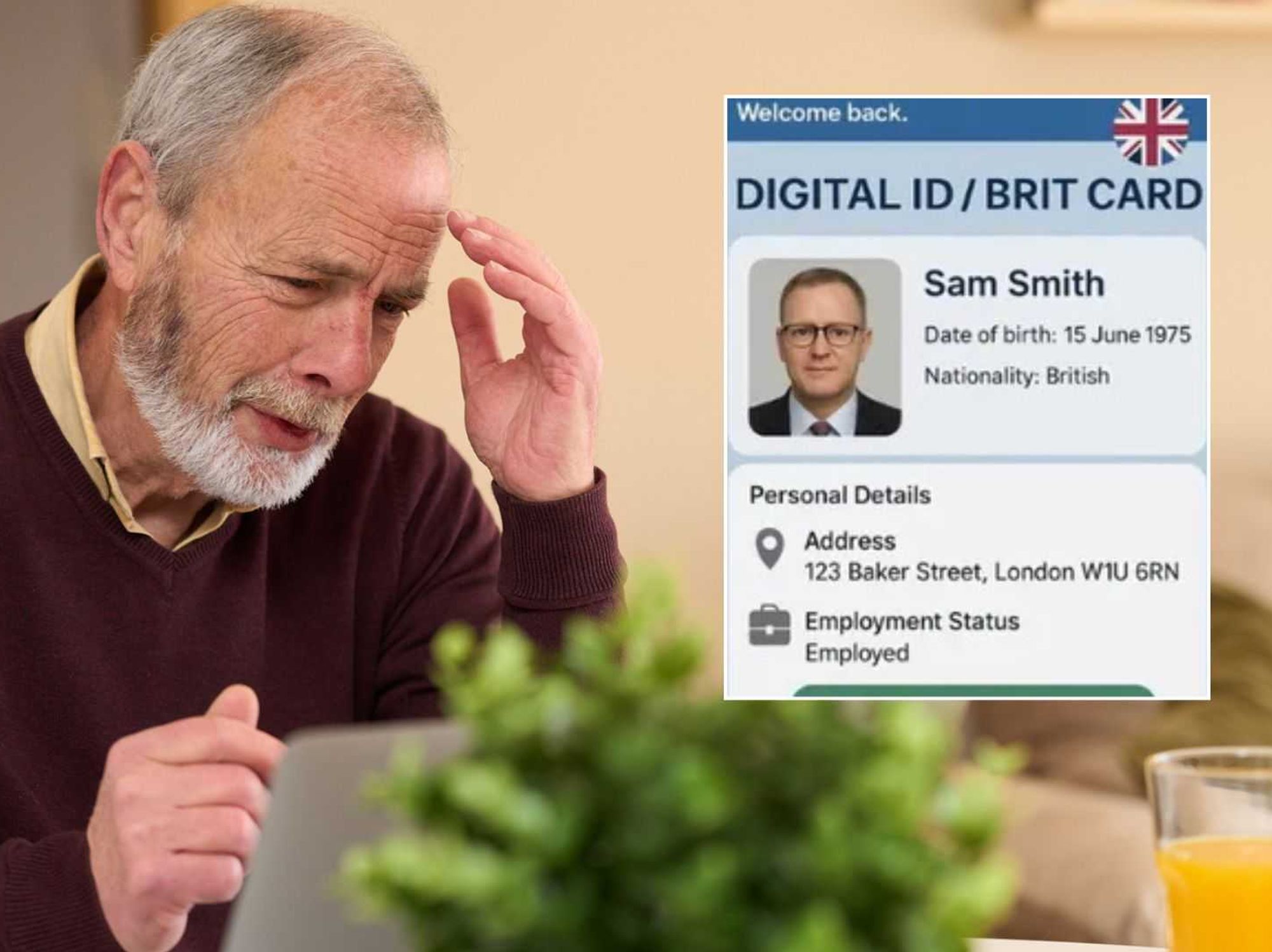 Digital ID 'locking out the elderly' as two million over 65s don't use the internet