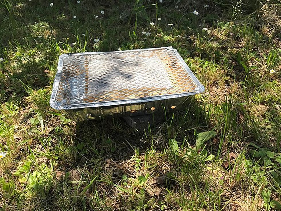 Disposable barbecues have been dubbed dangerous by the LFB