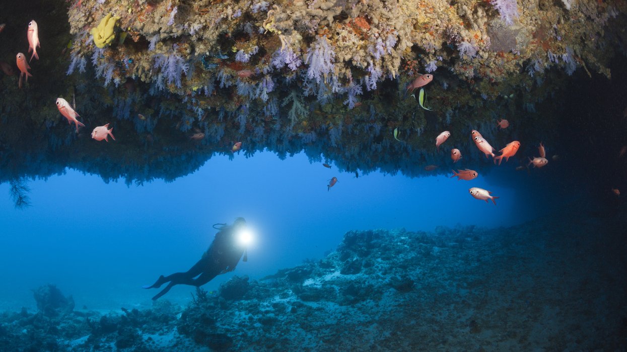 Diver in Maldives