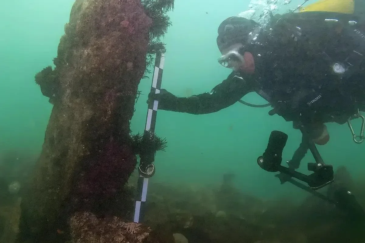Divers stunned as massive 7,000-year-old 'sunken city' discovered miles off French coast