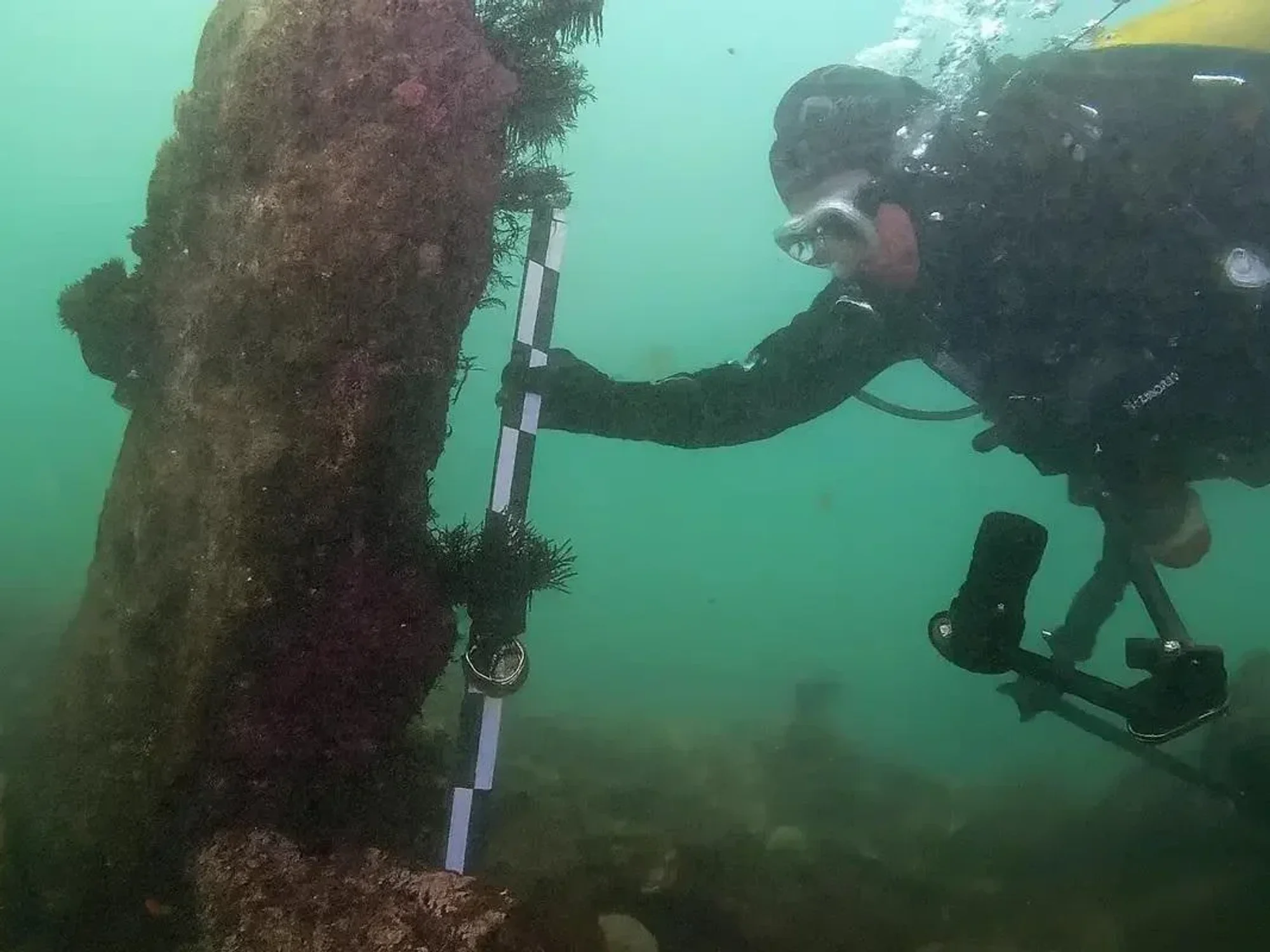 Divers stunned as massive 7,000-year-old 'sunken city' discovered miles off French coast