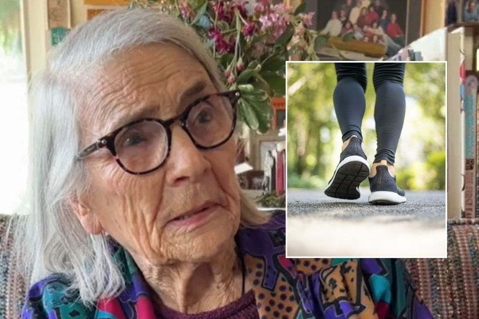 dixie and walking stock image