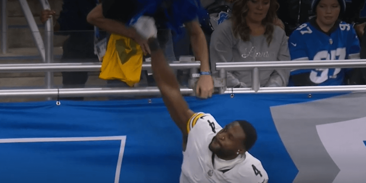 NFL star appears to throw punch at fan during match sparking official investigation NFL star appears to throw punch at fan during match sparking official investigation