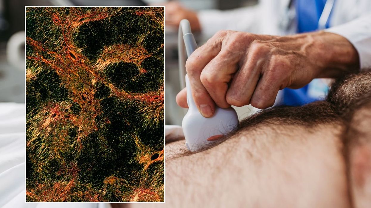 DOCTOR PERFORMING SCAN ON PATIENT