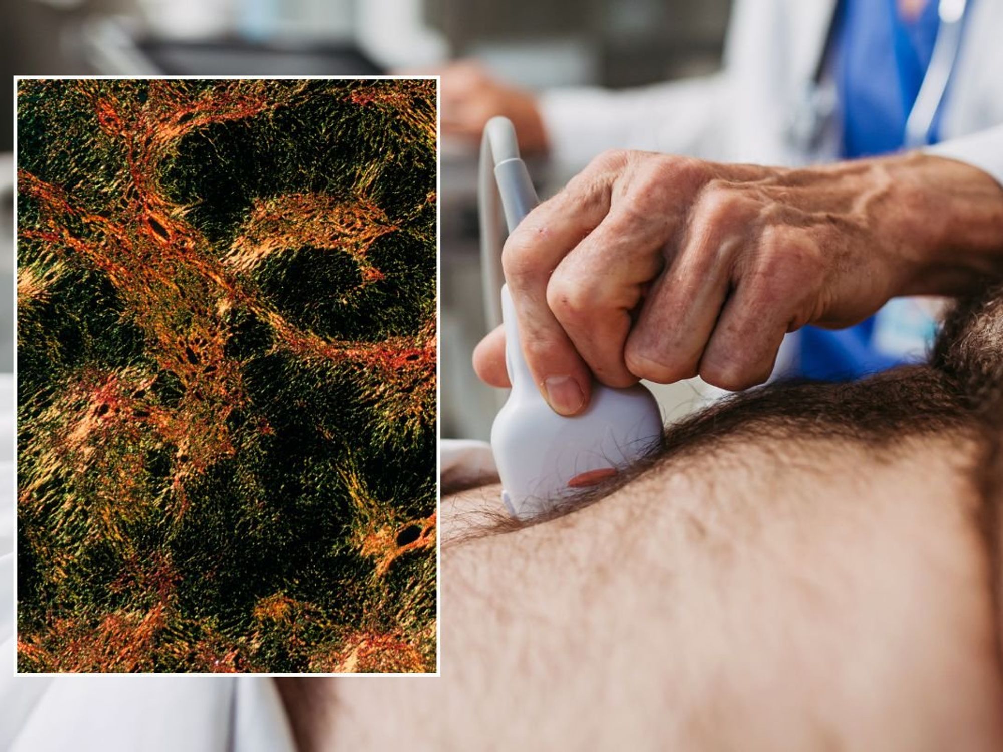 DOCTOR PERFORMING SCAN ON PATIENT