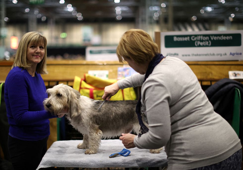 Dog owners and their Petit Basset Griffon Vendeen attend the second day of the Crufts Dog Show in Birmingham, Britain, March 11, 2022. REUTERS/Molly Darlington