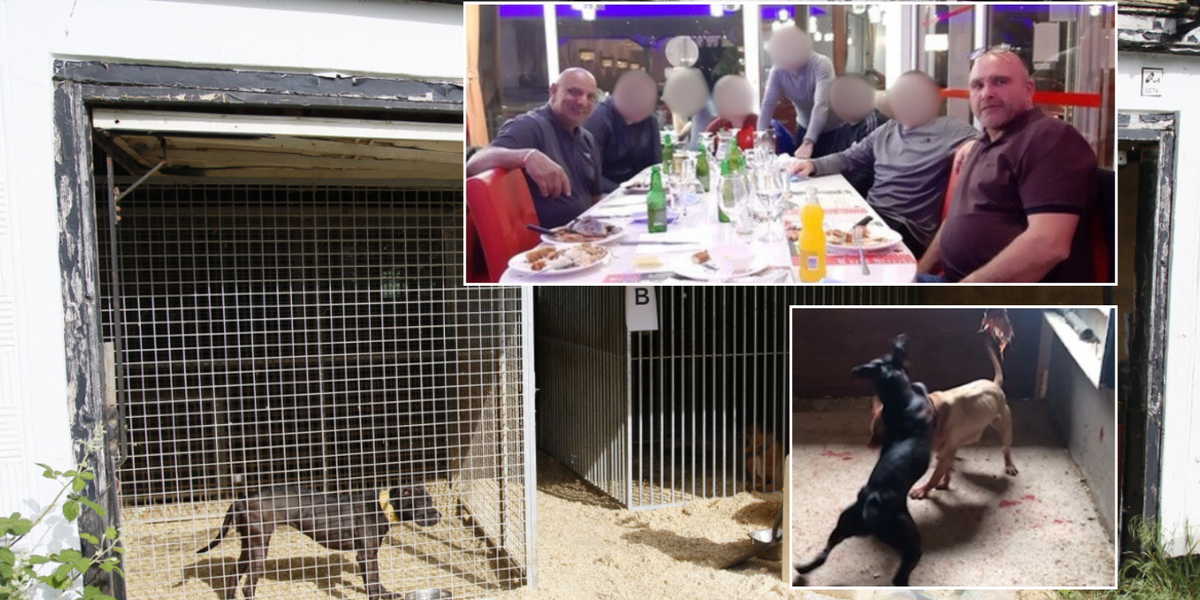 NextImg:'Doctor Death' and his gang exposed as deadly dog fighting ring ran in couple's village home