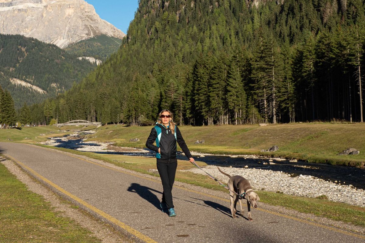 Dog walker in Italy
