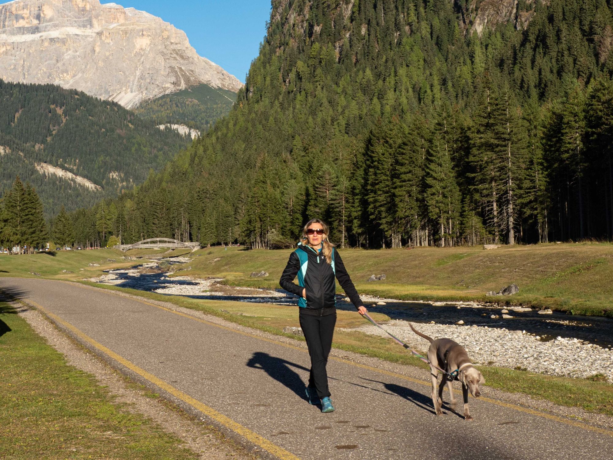Dog walker in Italy