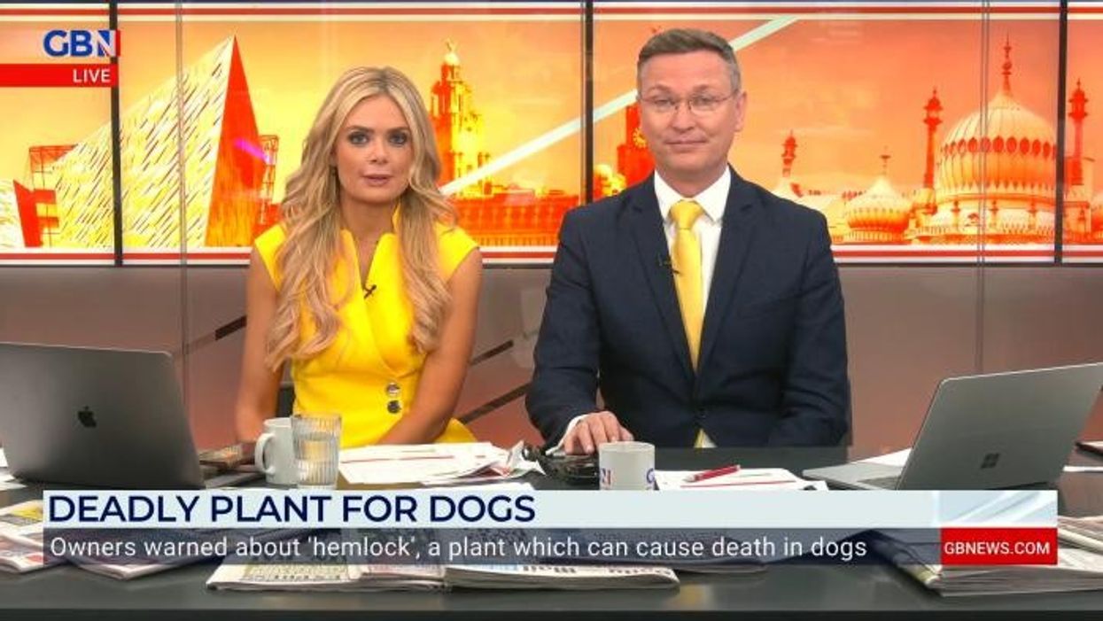 Dog walkers warned over ‘terribly toxic’ plant sweeping Britain that SUFFOCATES loved pets