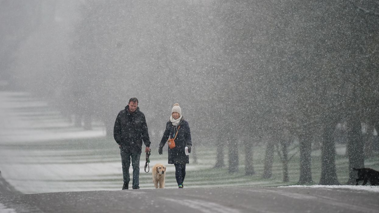 Dog walkers in the snow