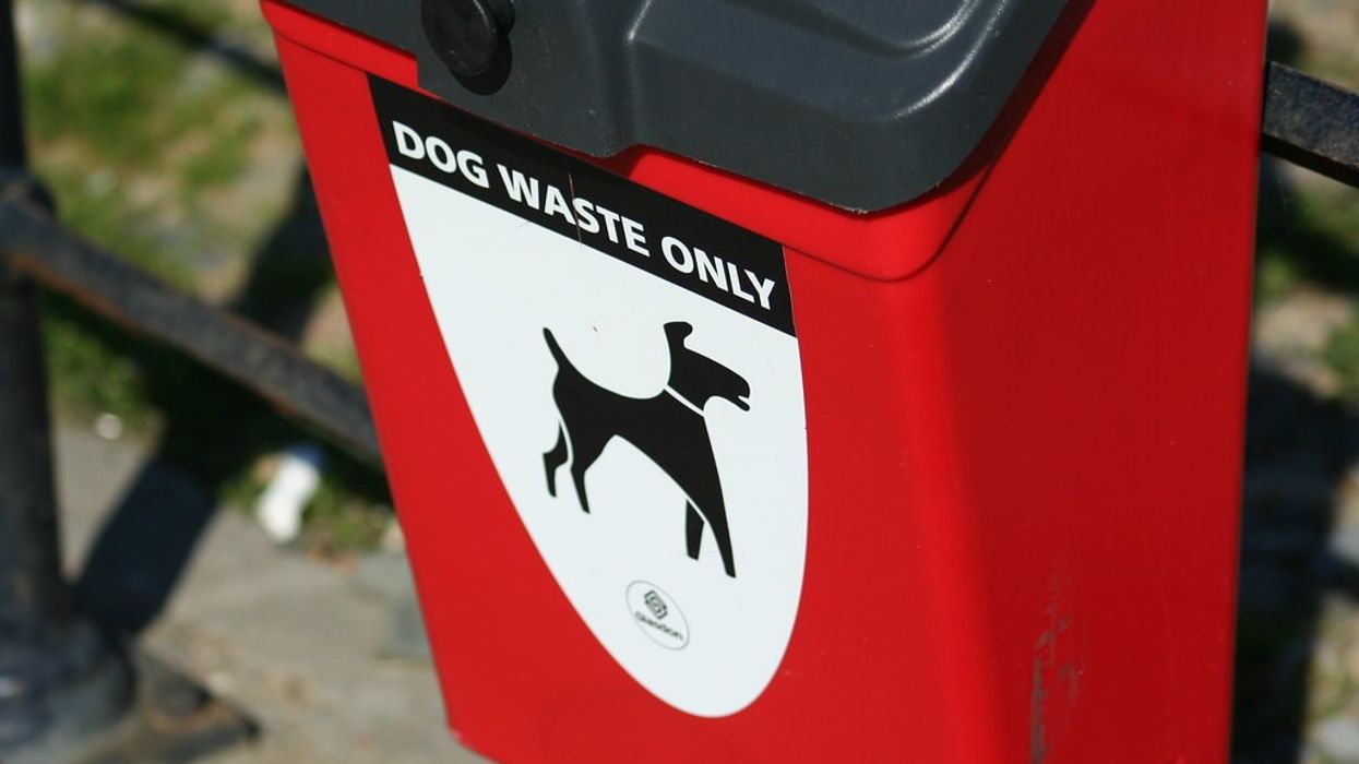 Dog waste bin