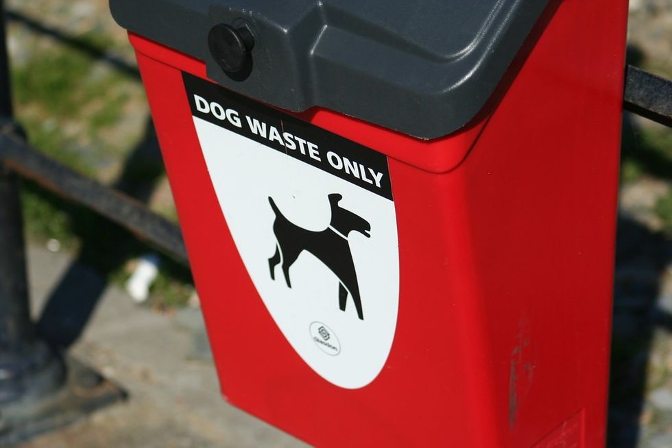 Dog waste bin