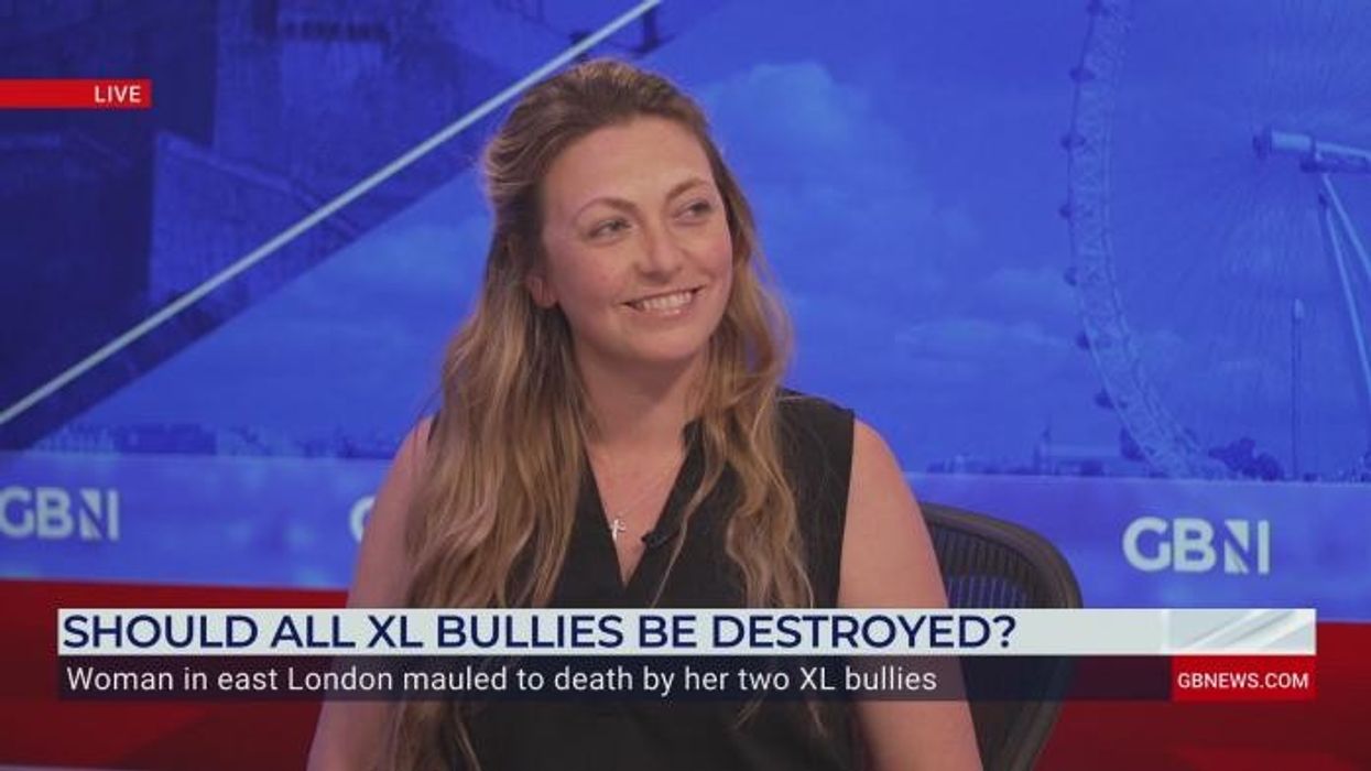 'Brave' members of the public secure XL Bully and French Bulldog after vicious attack on six members of the public