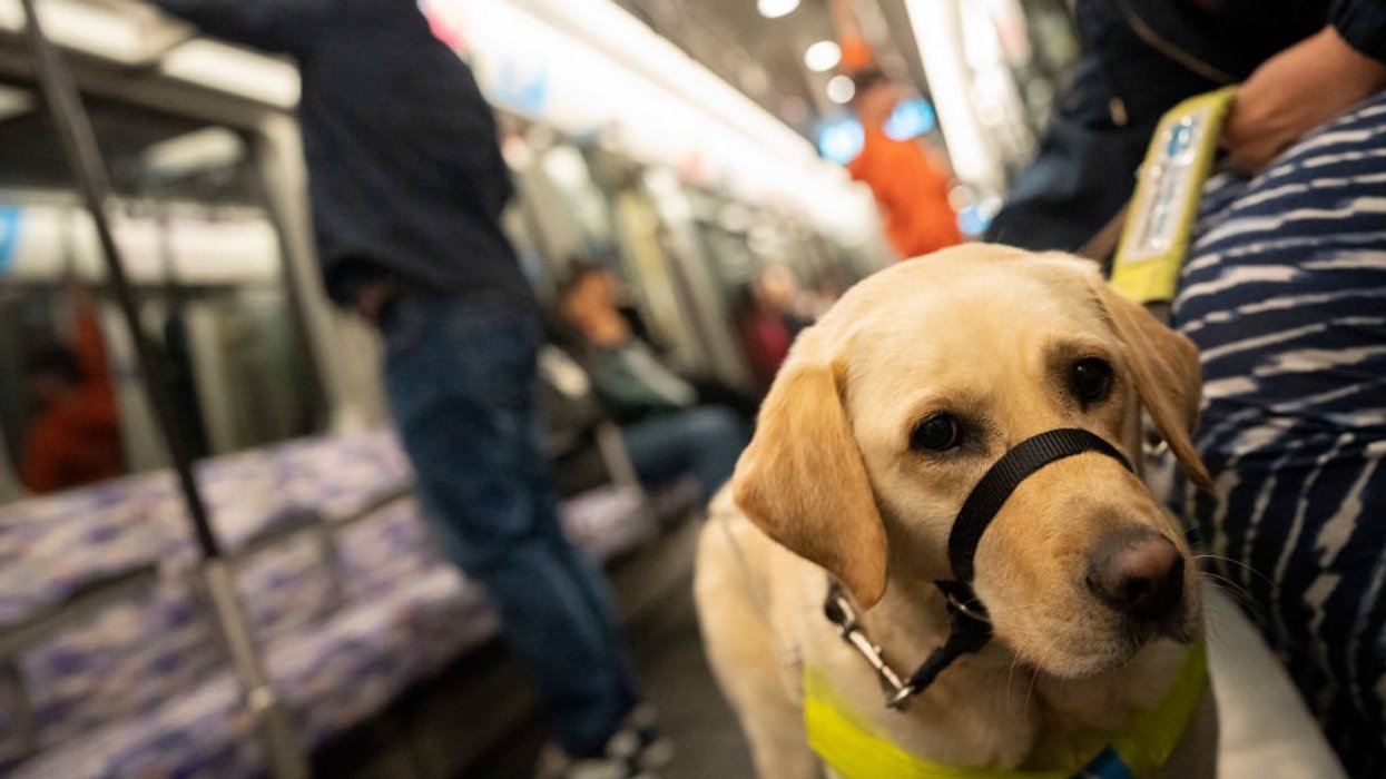 Dog owners used pets for ‘emotional support’ to get seat at restaurants