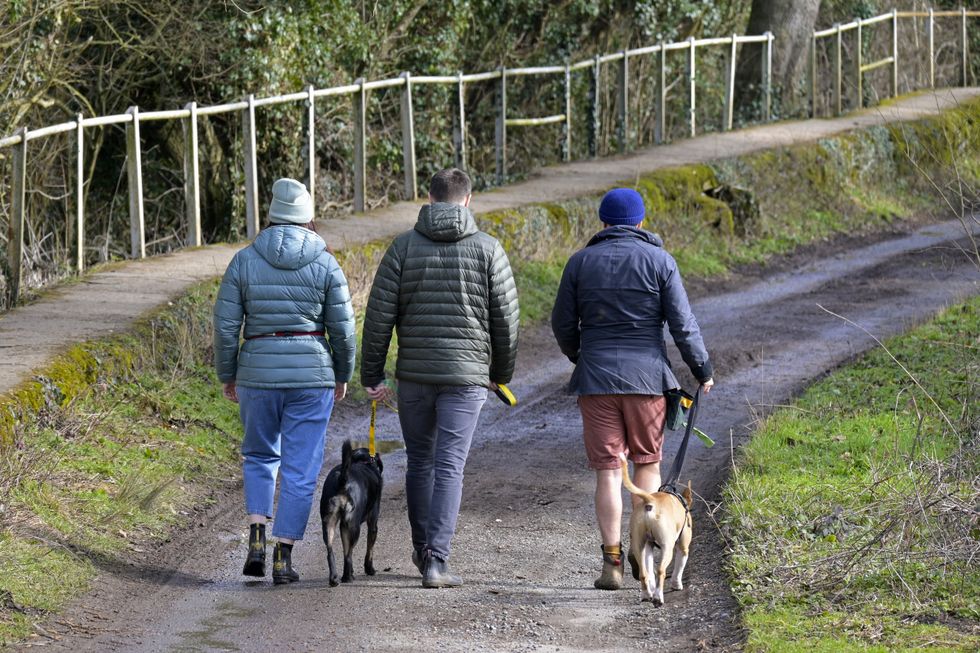 Dogwalkers in rural Oxfordshire