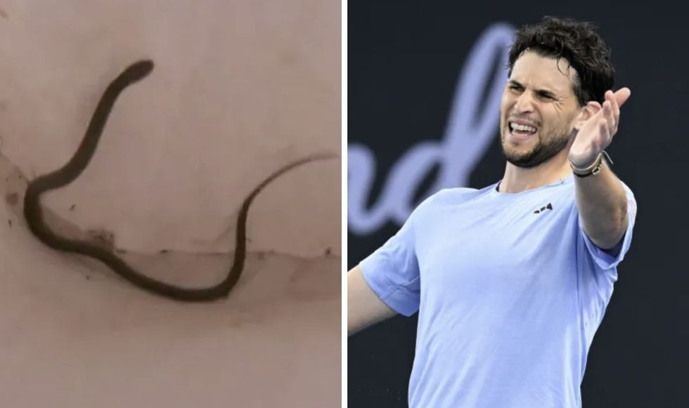 Dominic Thiem's match had to be suspended