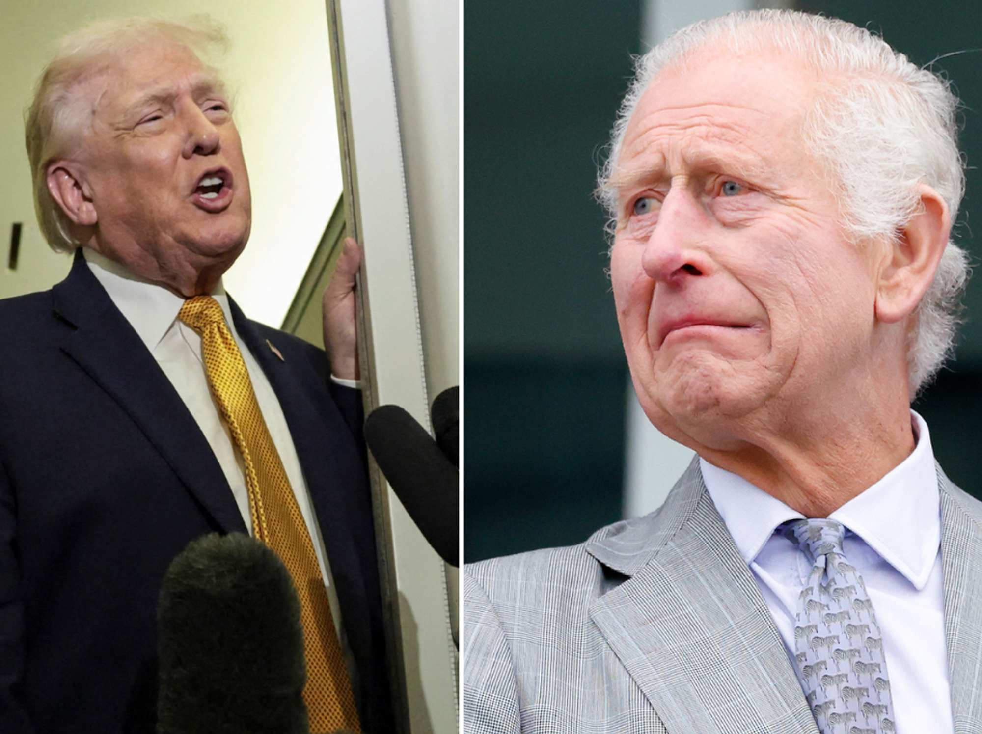 Donald Trump and King Charles