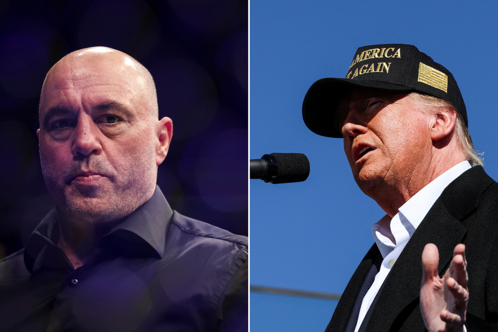 Donald Trump appeared on Joe Rogan's podcast