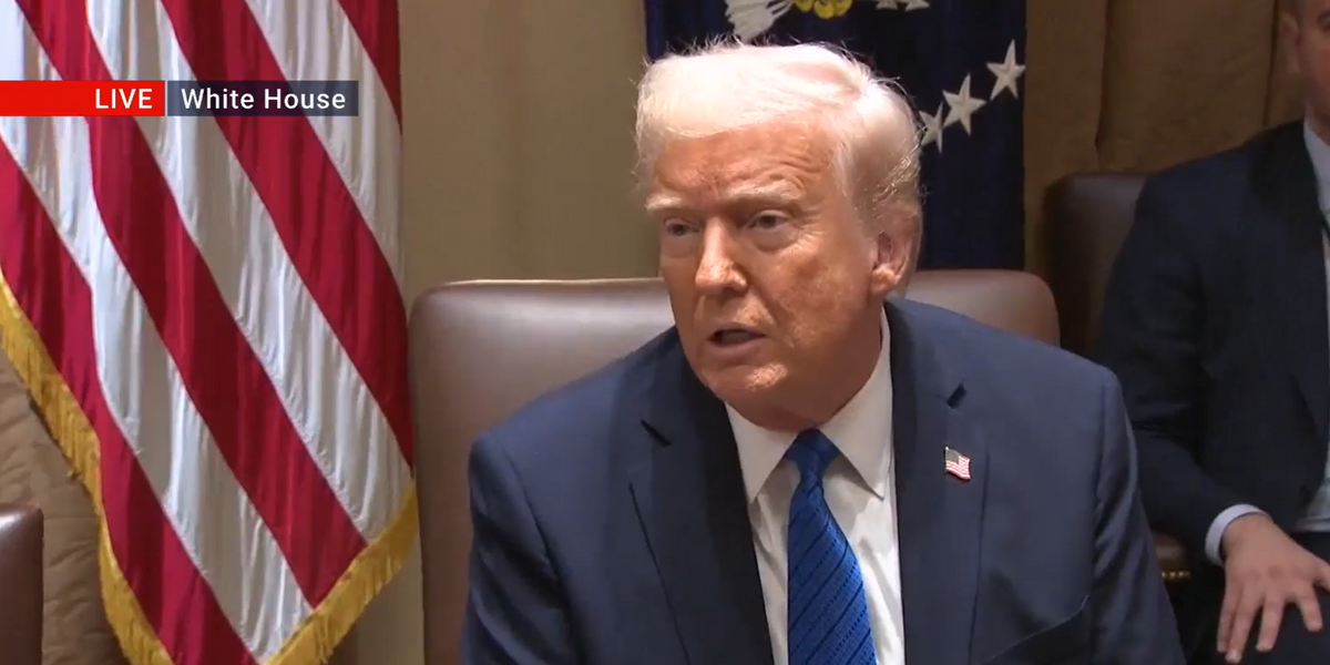 NextImg:Donald Trump accuses Europe of 'freeloading' off US - 'They've been terrible to us!'