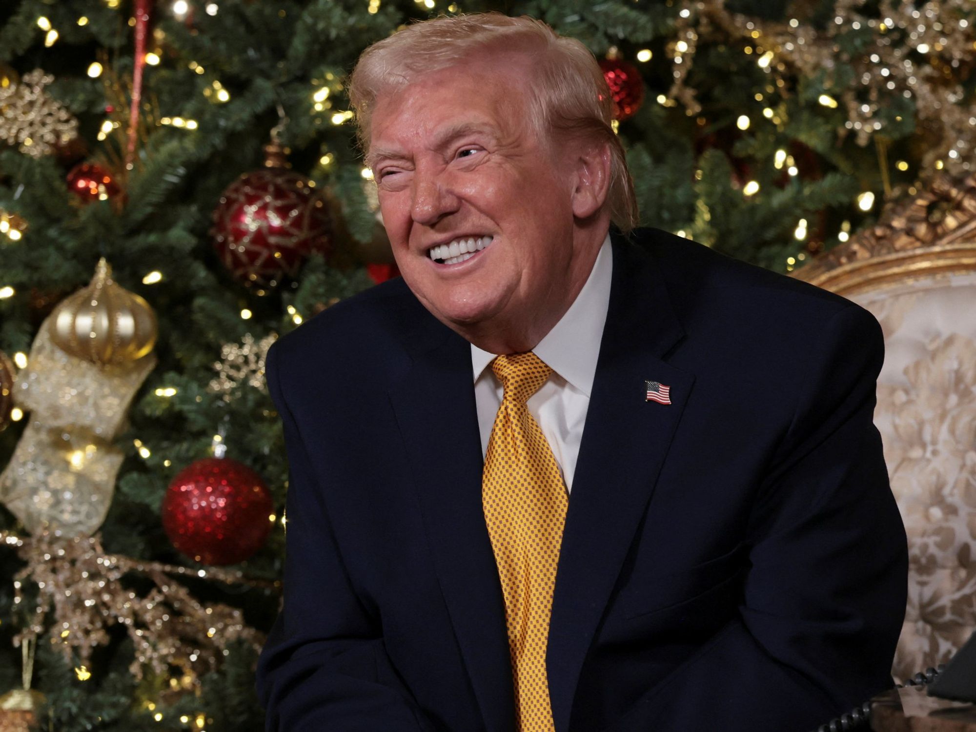 Donald Trump in front of a Christmas tree