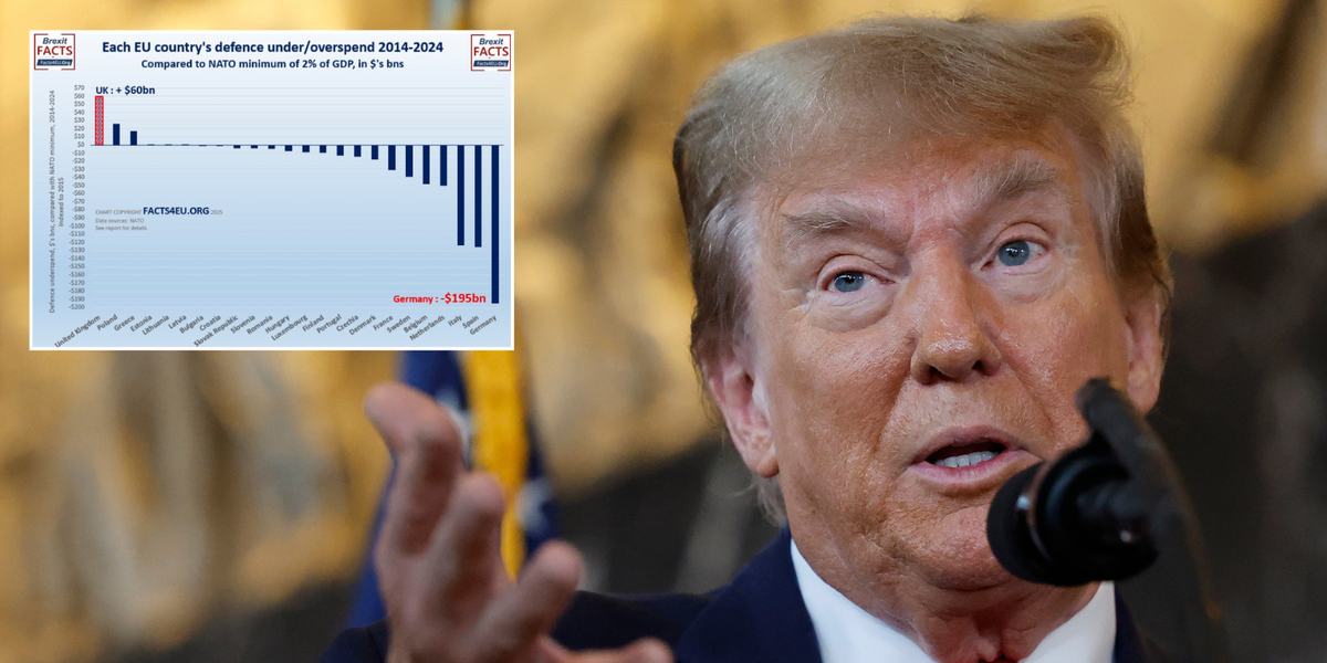 NextImg:REVEALED: EU’s $650bn UNDERSPEND on defence that has bloc leaders dreading hawkish Trump’s return